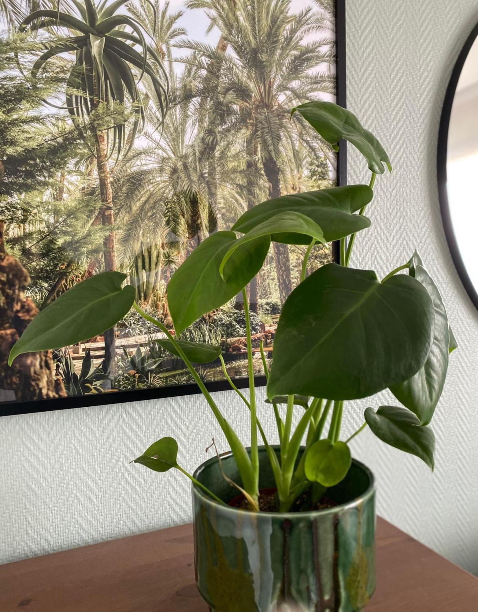Cosy Apartment In La Defense クルブヴォア エクステリア 写真